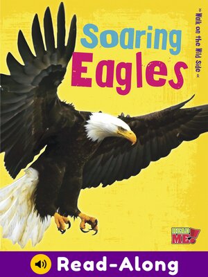 cover image of Soaring Eagles